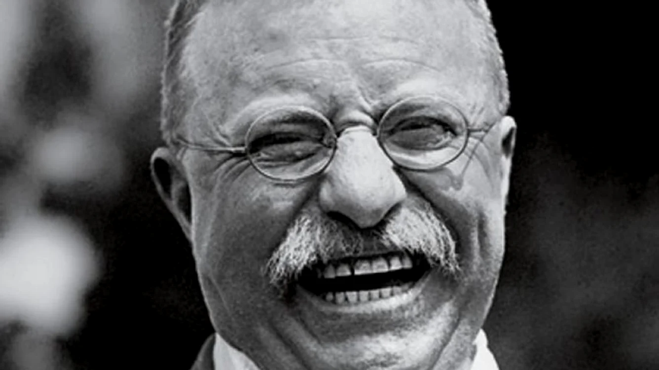 Theodore Roosevelt vs  Woodrow Wilson jpeg