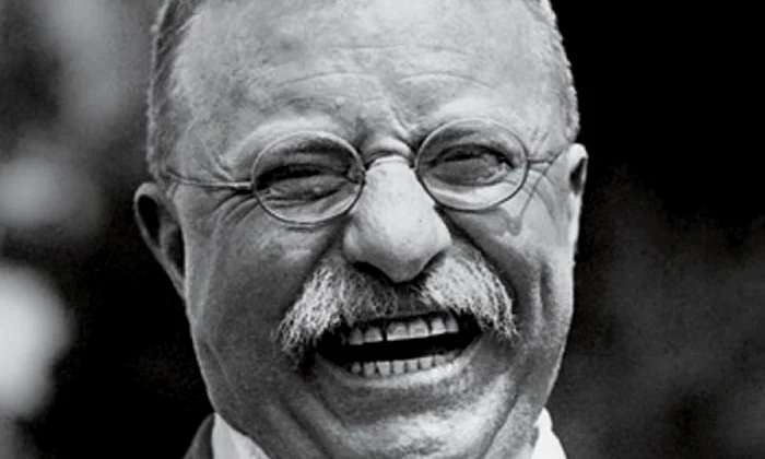 Theodore Roosevelt vs  Woodrow Wilson jpeg