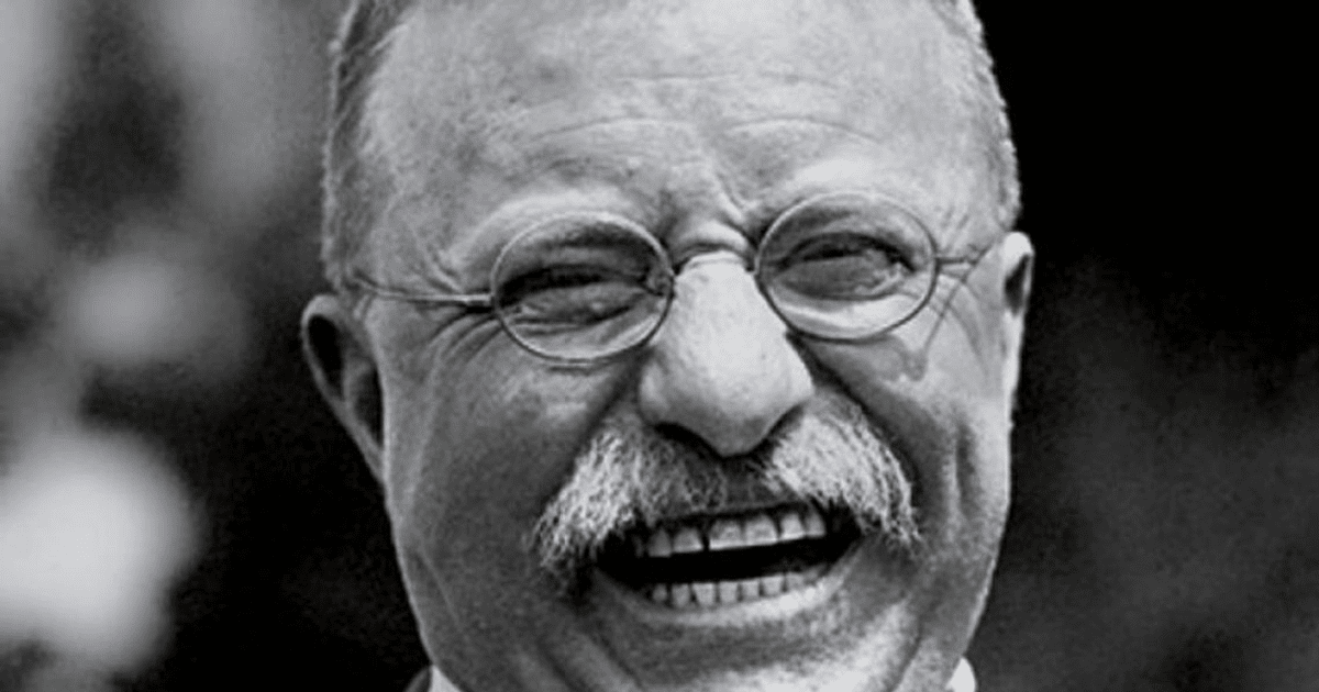 Theodore Roosevelt vs. Woodrow Wilson