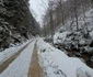 Valea Anineșului Drumul spre Fața Cetei (21) jpg