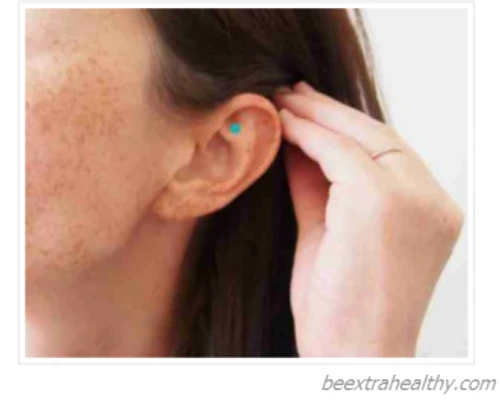 fae8d9399cfda124a030fe8c3259d921 jpg png