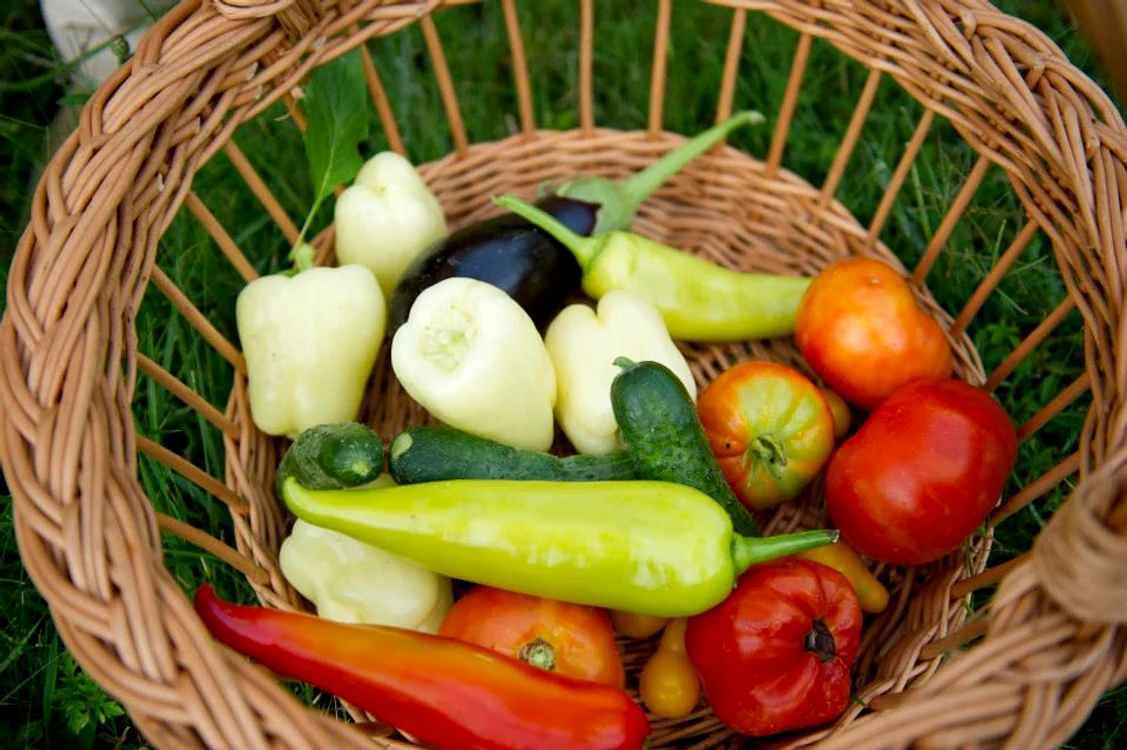 Preşedintele şi soţia sa de ocupă de grădina de legume