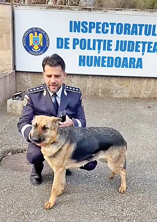 Fotografia postată de IPJ Hunedoara a ajutat la găsirea stăpânilor