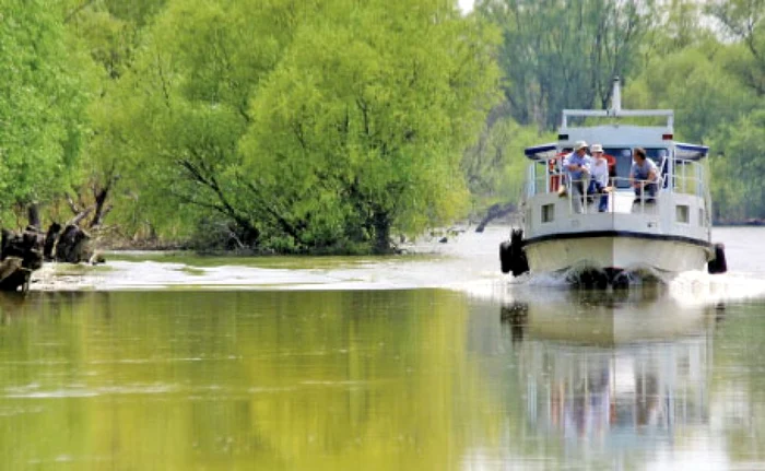 În Delta Dunării