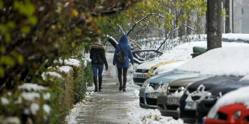 Ninsoare in Bucuresti - zapada FOTO Inquam Photos / Adriana Neagoe