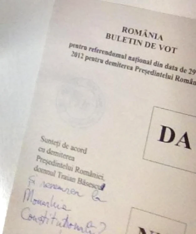 Votul lui Flavius Boncea