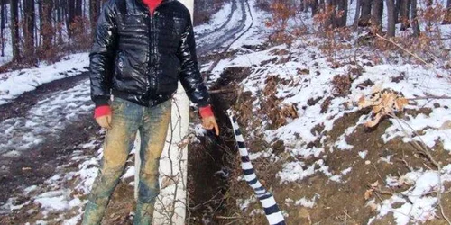 hoti fier vechi