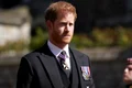 printul harry