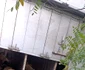 Camion încărcat cu sute de oi răsturnat pe DN67 în Pietrari Vâlcea Foto ISU Vâlcea jpeg