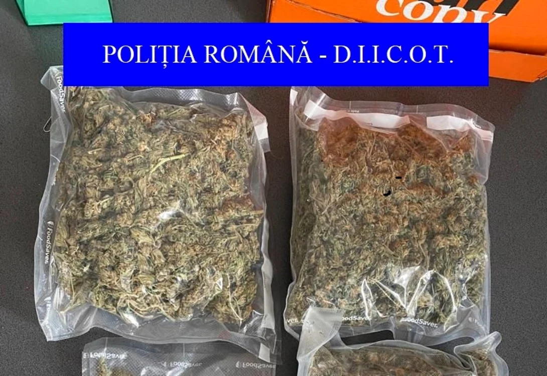 Cele 600 de grame de canabis găsite asupra tinerilor FOTO IPJ Galaţi