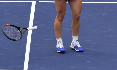 simona halep   flavia pennetta jpeg