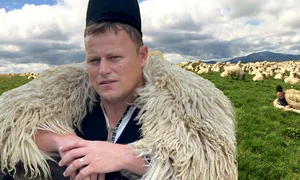 cub ghiță ciobanul png