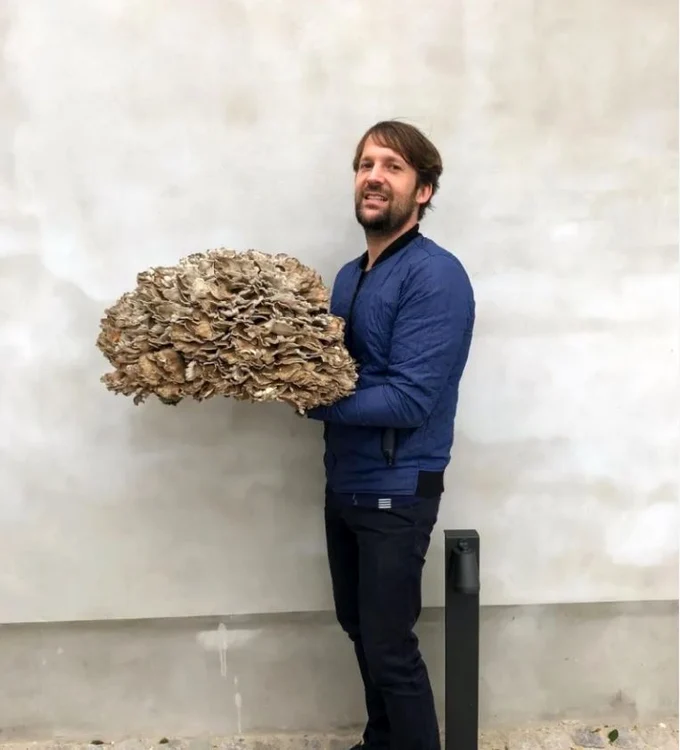 Chef Rene Redzepi șine în mână un mănunchi de ciuperci sălbatice
