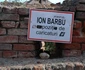 barbu caricaturi jpg