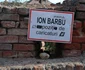 barbu caricaturi jpg