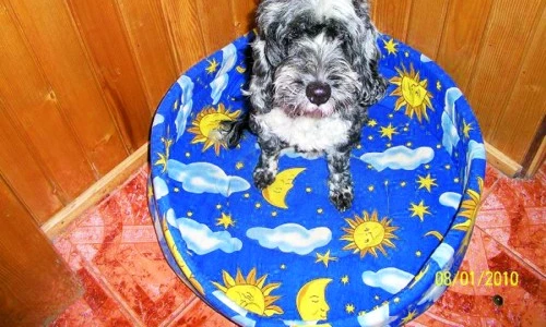 1 47968 original jpg jpeg