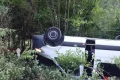 microbuz austria facebook webp