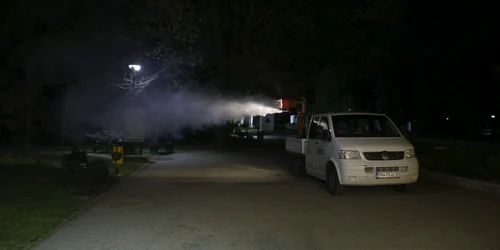 tratament antitantari tantari herastrau bucuresti foto inquam octav ganea