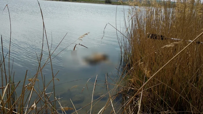 Cadavru FOTO ISU Dobrogea