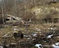 Satul Muncelu Mic din Hunedoara Foto Daniel Guță ADEVĂRUL (1) jpg