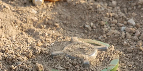 shutterstock 2021352965 jpg