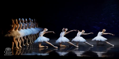 “Lacul Lebedelor”, cel mai faimos spectacol de balet al tuturor timpurilor Sursa foto Opera Națională București
