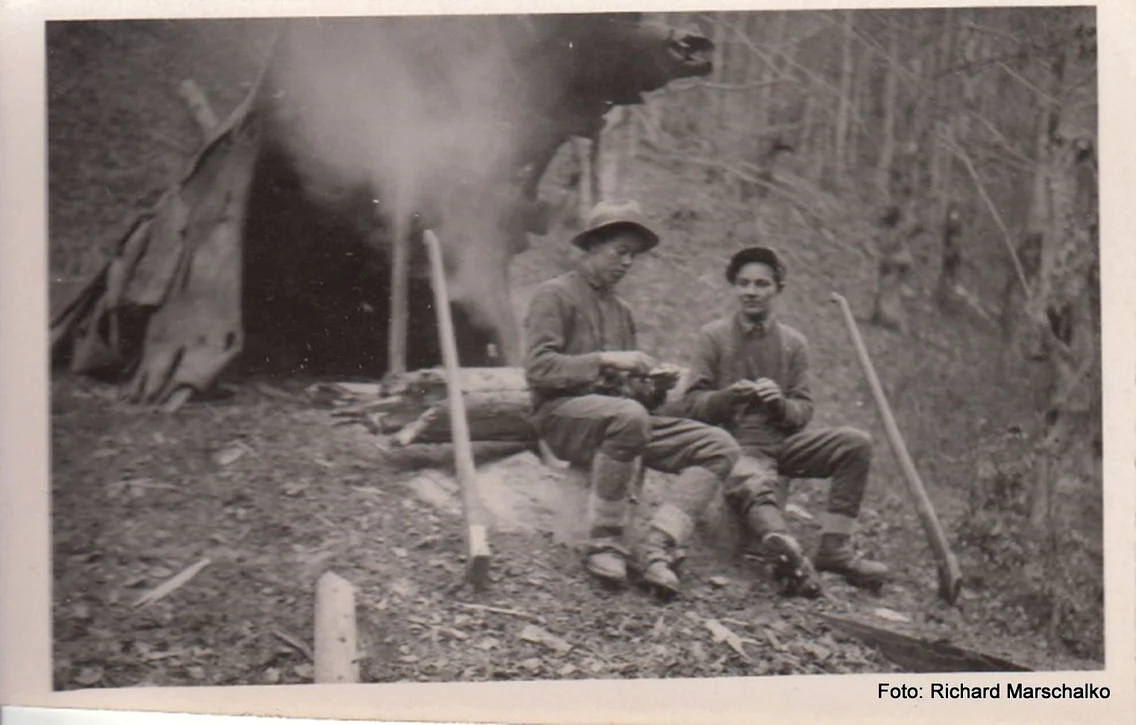 Căi ferate forestiere din Valea Jiului  Anul 1956  Foto  Richard Marschalko (16) jpg