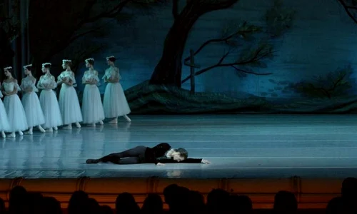 La tv în perioada 15 ianuarie   15 februarie jpeg