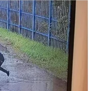 Vasile Frumuzache  evadare foto lanazione jpg