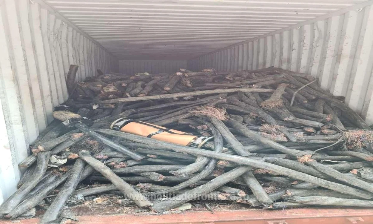 Ce conţinea containerul FOTO Poliţia de Frontieră
