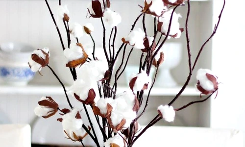 1 65562 original jpg jpeg