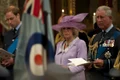 camilla 8 profi jpg