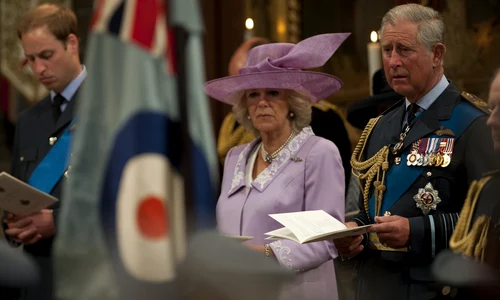 camilla 8 profi jpg