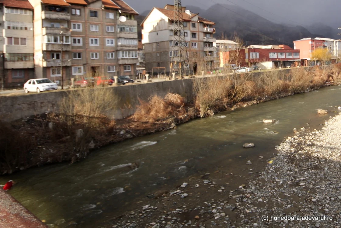 Cadavrul a fost scos din apele râului. FOTO: ARHIVĂ.