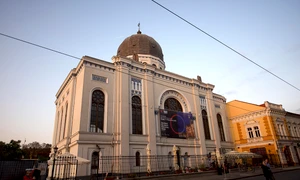 Trei zile ca în filme la TIFF Oradea jpeg