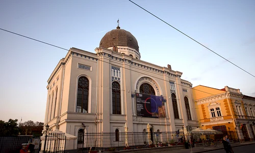 Trei zile ca în filme la TIFF Oradea jpeg