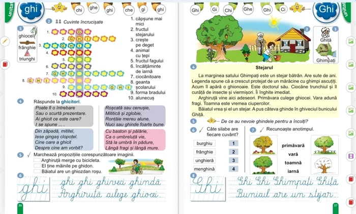 joc de limba romana test manual