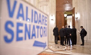 senat 7618068 mediafax foto alexandru dobre jpeg