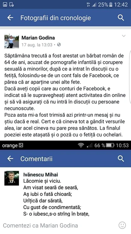 Marian Godină i-ar fi batjocorit creaţiile piteşteanului