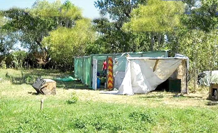 Aşa arăta cultura ilegală