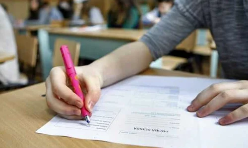 Evaluarea Națională 2020 | Un text de pe siteul Historia, printre subiectele la Limba și literatura română  jpeg