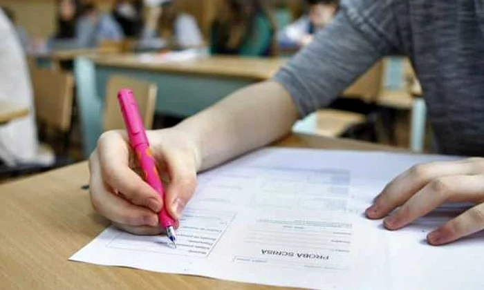 Evaluarea Națională 2020 | Un text de pe siteul Historia, printre subiectele la Limba și literatura română  jpeg