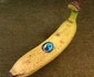 Anca Gheorghică pe plantaţiile de banane din Ecuador FOTO Arhivă personală