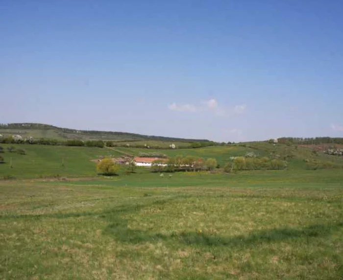 ozn bistrita 3