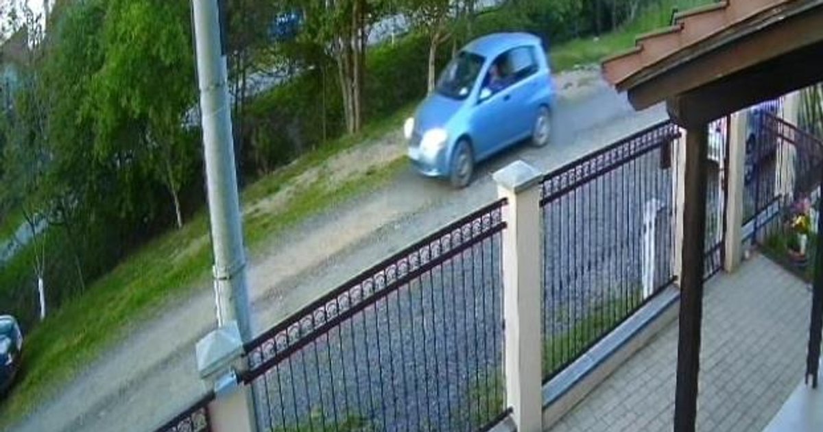 Șofer împușcă un câine pe stradă și-l bagă în portbagaj înainte de a pleca. Șofer împușcă un câine pe stradă și-l bagă în portbagaj înainte de a pleca.