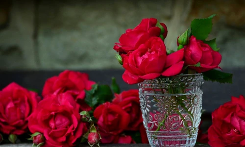 1 70930 original jpg jpeg