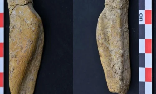 Descoperire arheologică în județul Neamț, unică pentru patrimoniul României jpeg