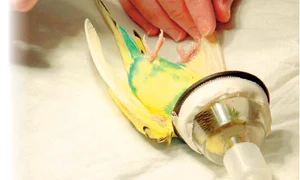 CLIIMA20140311 0135 1 jpeg