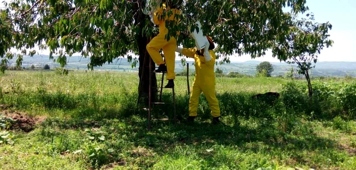 Jandarmii au intervenit la Dudaşul Schelei FOTO IJJ Mehedinţi