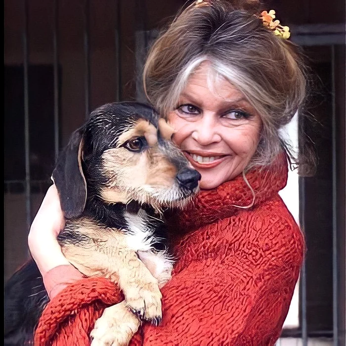 3 brigitte bardot covid vaccinare 6 jpg jpeg